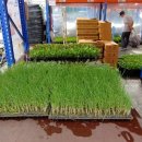 현대농자재마트 이미지