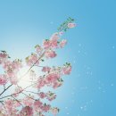 들성로-8 이미지