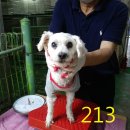 서창지구대 이미지