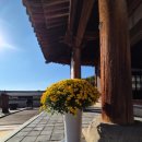 정조농장 이미지