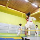 한샘태권도장 이미지