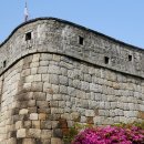 서일화성 이미지