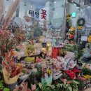 태양꽃집 - 성남시 수정구 산성대로 267 | 태양꽃집