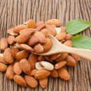 바디모어핏 이미지