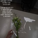 예정플로랄디자인학원