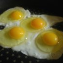 등고개농장 이미지