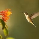 에브리(EVERY) 이미지