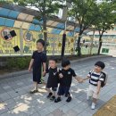 원흥비전 태권도장 이미지