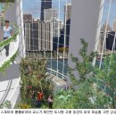 지열농장 이미지