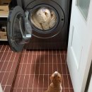 KS클린에너지 이미지