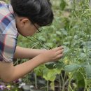 서울숲 나비정원 체험학습으로 배우는 자연과 예술의 만남! 신사임당 도슨트 포함 완벽 체험 후기