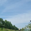 낙동강체육공원 족구장 이미지