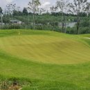 마임골프클럽 이미지