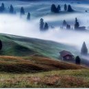 솔베이지 이미지