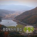일번지유통