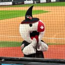 상대노인정 | ⚾️ 25 시즌 종료 | KT 위즈 휀걸의 야구 30문 30답 🧙‍♂️