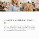 2026 냥냥펀치캣쇼 일산 킨텍스 캣페어 부스배치도 마곡 오픈런 후기