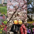 flowers are made to bloom. 이미지