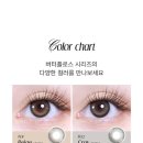 렌즈베리 이미지