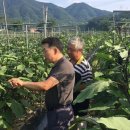 이창희농장 이미지