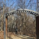 원주굽이길 원10코스 바람머리산길 이미지