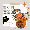 안양초등학교 | [안양 초등학교] 특수학급 대상 원예 수업 키트 납품 후기 &lt;할로윈 꽃꽂이&gt;