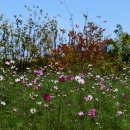 (주)정도 이미지