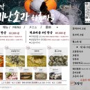 부에난소라하효마을