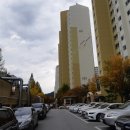 동천본동 이미지