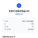 생마차고양