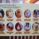 우프우프 이미지