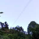 도반 | 네팔 히말라야트레킹#4 지누난다 촘롱 아래시누와 시누와 도반 (2500m) 트레킹후기