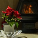 어뮤즈 545 이미지