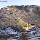 풍림머리방 이미지