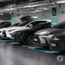 하이브리드 이미지