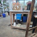 창전축산 이미지