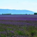 용호3동 마을건강센터 이미지