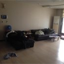 판교원로 이미지