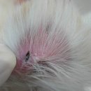 서현동물병원 이미지