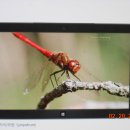 이룬다공인중개사사무소 이미지