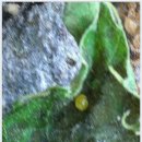 구산초등학교 이미지