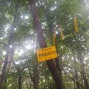매일투어
