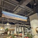 뉴수성하와이 이미지