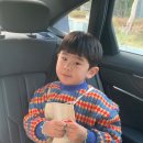 리틀윌링스유치원 이미지