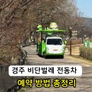 경주 첨성대 비단벌레 전동차 예약 코스 요금 아이와 가볼만한곳