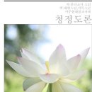 청정도론 - 제2장 dhutanganiddeso 두타행 - 13 가지 두타행 이미지