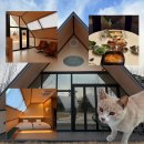 아마존게임전자 | 아마존 스테이 | 충청도 프리미엄 글램핑장 내돈내산 꼼꼼 후기 (STAY 12 후기)