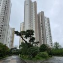 다정정신건강의학과의원 이미지