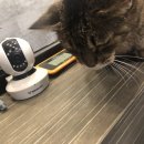 상아동물병원 이미지