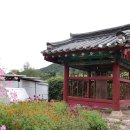 거북 경로당 티스토리